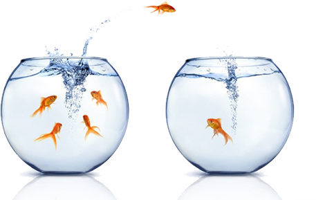 Nifty futures trading strategy forum